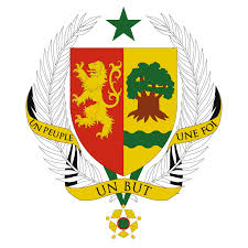 Logo SN