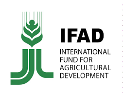 Logo FIDA