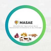 Logo MASAE