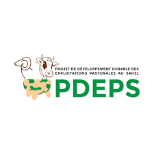 Logo PDEPS